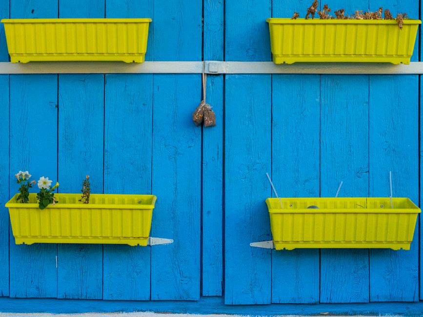 How to Choose the Right Containers for a Vertical Garden