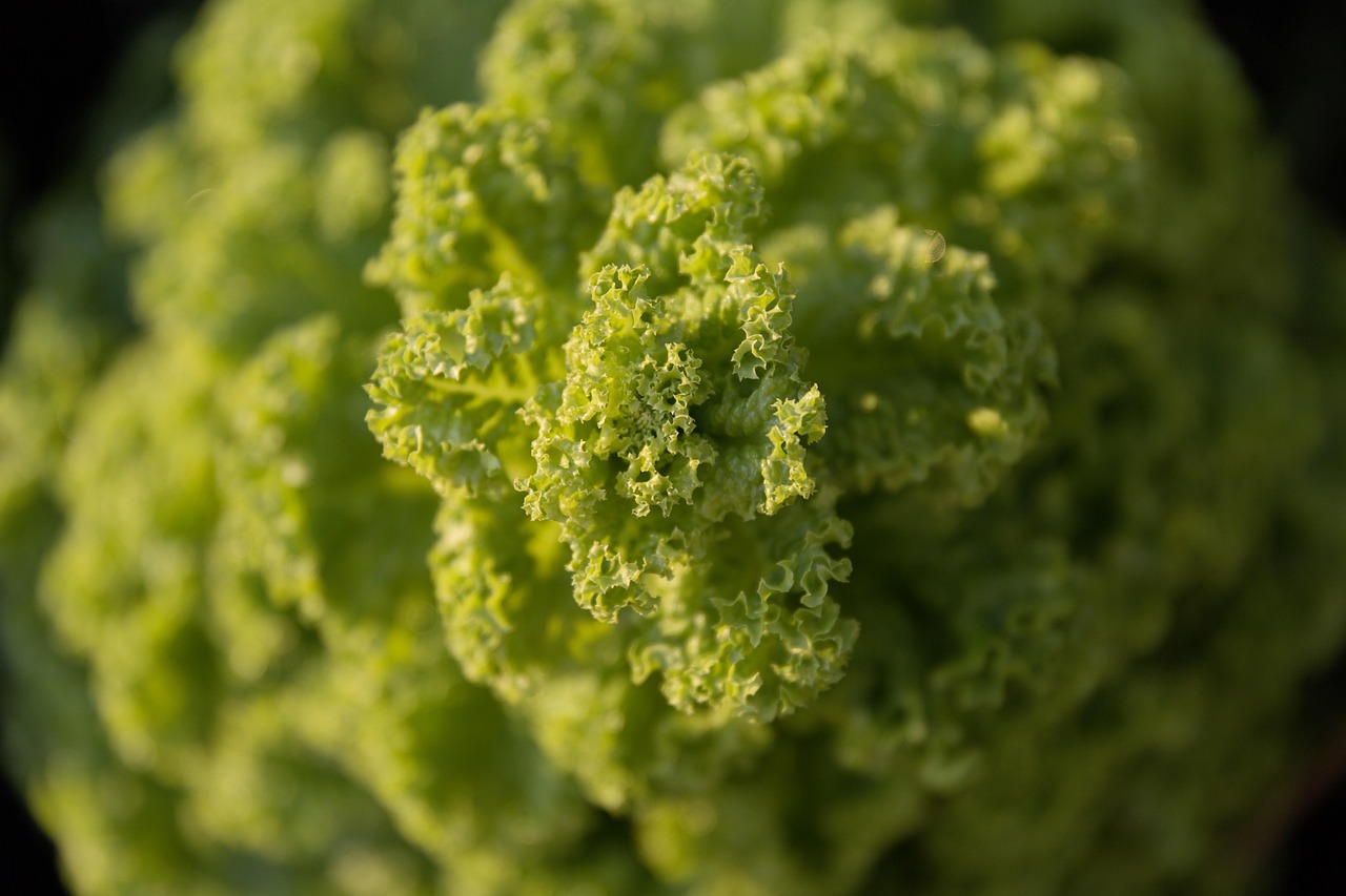 Small Space, Big Harvest: Growing Vegetables in Tight Urban Gardens