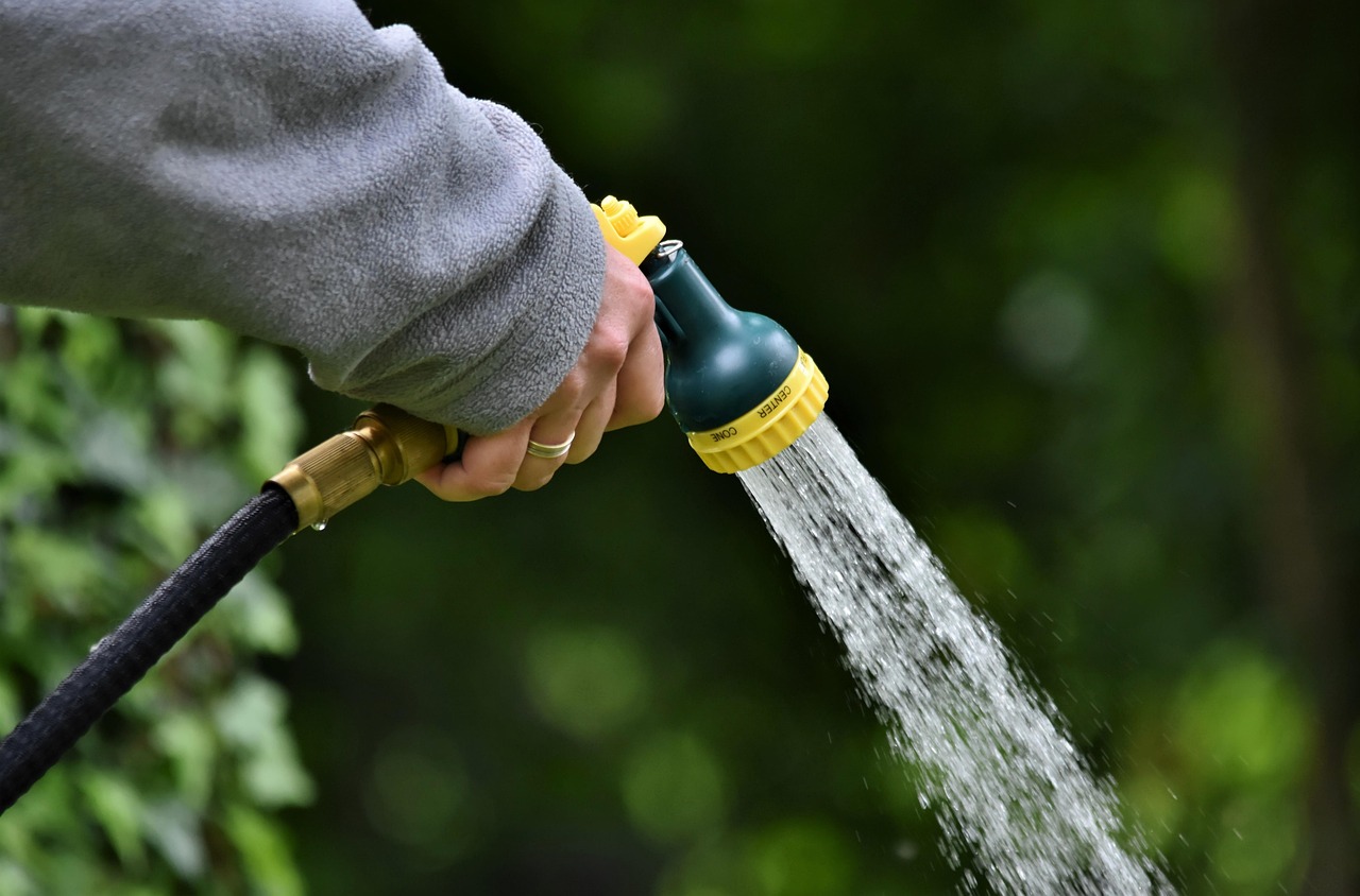 Watering a Vertical Garden Without Drowning It